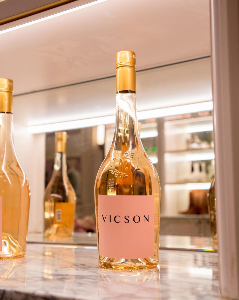 vicson launch